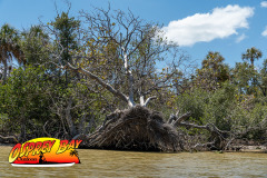 Robinson-preserve-4-2026-119