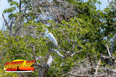 Robinson-preserve-4-2026-139