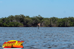 Robinson-preserve-4-2026-140