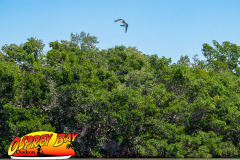 Robinson-preserve-4-2026-142