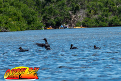 Robinson-preserve-4-2026-145