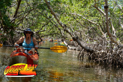 Robinson-preserve-4-2026-147