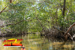 Robinson-preserve-4-2026-148