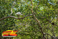 Robinson-preserve-4-2026-149