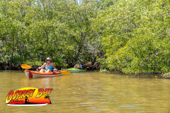 Robinson-preserve-4-2026-150