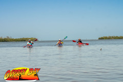 Robinson-preserve-4-2026-157