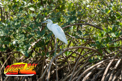 Robinson-preserve-4-2026-193