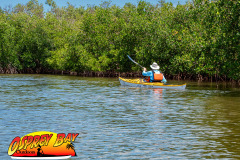 Robinson-preserve-4-2026-47