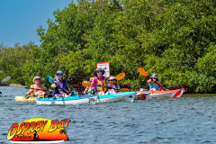 Robinson-preserve-4-2026-52