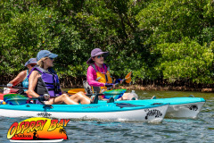 Robinson-preserve-4-2026-56