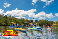 Robinson-preserve-4-2026-7