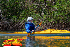 Robinson-preserve-4-2026-73