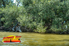 Robinson-preserve-4-2026-91