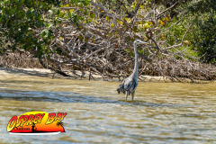 Robinson-preserve-4-2026-93