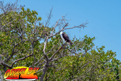 Seminole-waterfront-78
