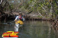 Weedon-island-May-2023-35