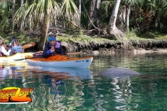 weeki-wachee-2018-68