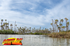 weeki-wachee-2023-105