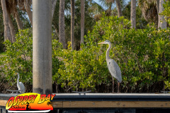 weeki-wachee-2023-111