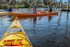 weeki-wachee-2023-39