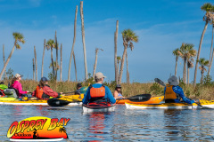 weeki-wachee-2023-58