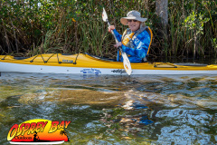 weeki-wachee-2023-62