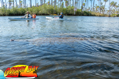 weeki-wachee-2023-65