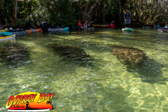 weeki-wachee-2023-75