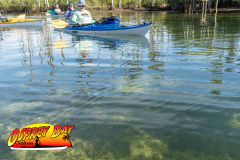 Weeki-Wachee-Jan-2025-121