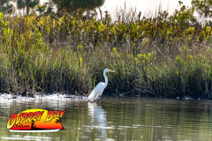 Weeki-Wachee-Jan-2025-125