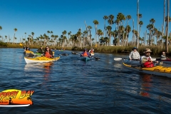 weeki-wachee-jan-2020-100