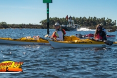 weeki-wachee-jan-2020-13