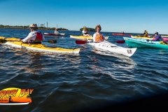 weeki-wachee-jan-2020-4