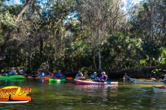 weeki-wachee-jan-2020-79