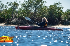 weeki-wachee-jan-2020-9