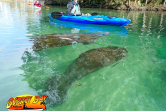 Weeki-watchee-2021-132
