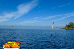 Weeki-watchee-2021-5