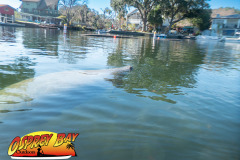 weeki-wachee-2023-120