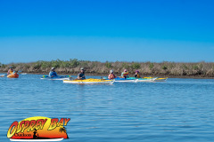 weeki-wachee-2023-20