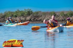 weeki-wachee-2023-24