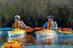 Weeki-watchee-jan-2022-11