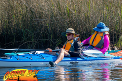 Weeki-watchee-jan-2022-12