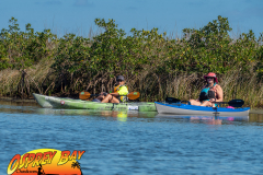 Weeki-watchee-jan-2022-44