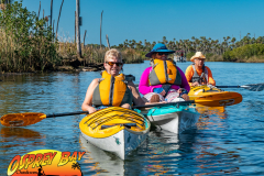 Weeki-watchee-jan-2022-61