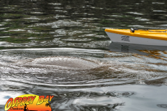 Weeki-watchee-jan-2022-85