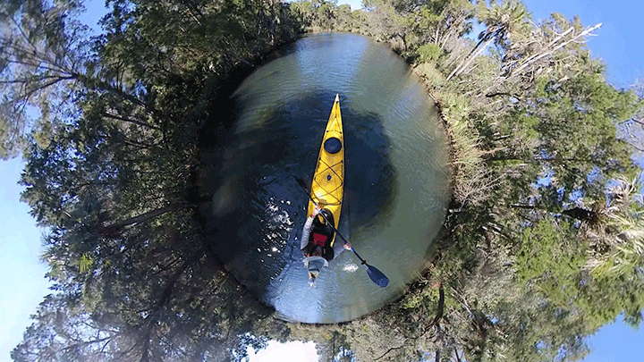 Read more about the article Peaceful Paddling on the Chassahowitzka River