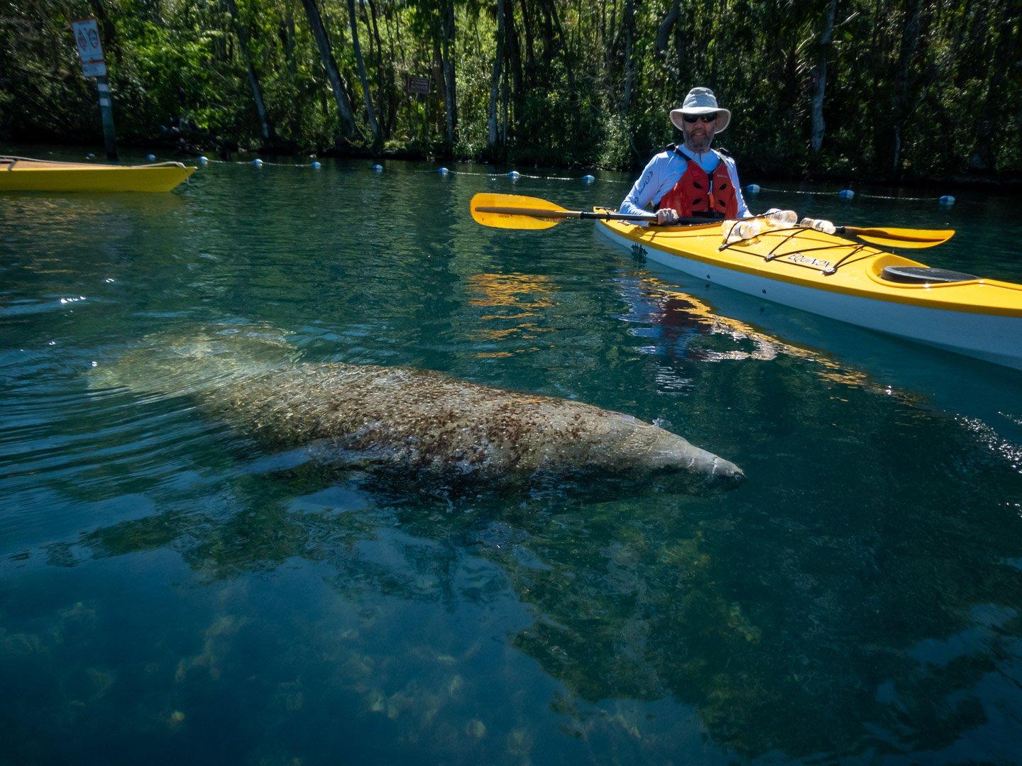 You are currently viewing Homosassa River Paddle Trip March 2020 Pictures
