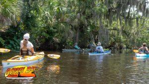 Read more about the article Braden River Paddle Trip June 2020