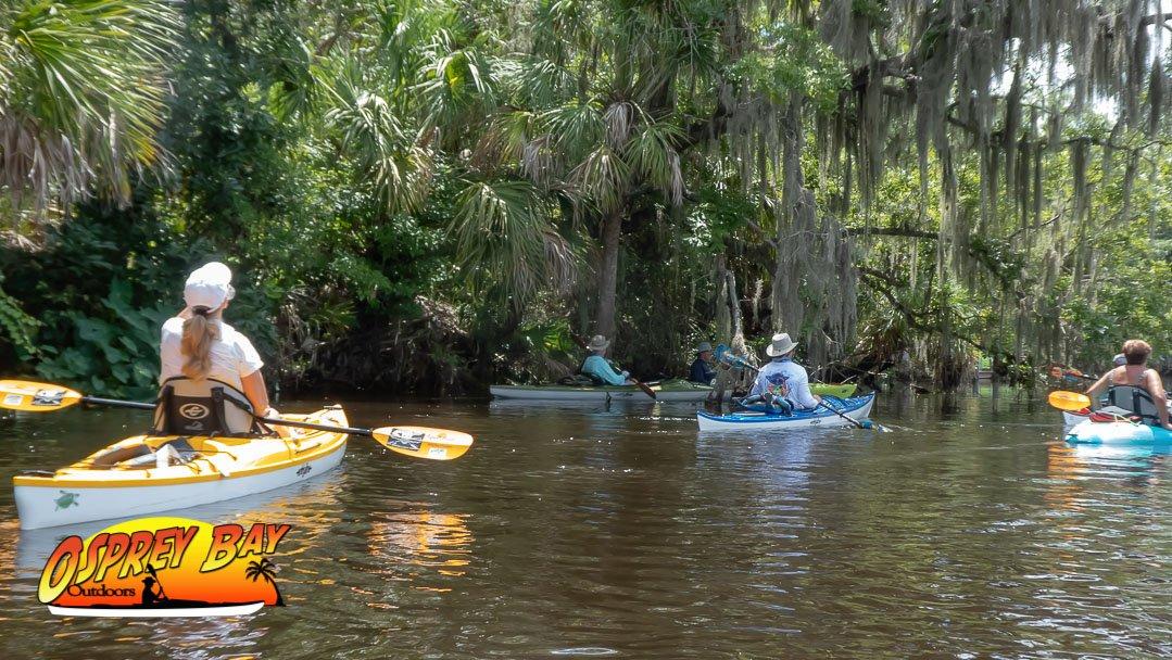 You are currently viewing Braden River Paddle Trip June 2020