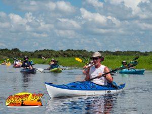 Read more about the article Myakka River Paddle Trip Aug 2020